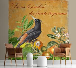 Fototapeta Nápis vtákov - Andrea Haase Materiál: Vliesová, Rozmery: 100 x 100 cm