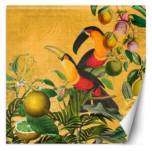 Fototapeta Papagáje v listoch abstraktné zvieratá - Andrea Haase Materiál: Vliesová, Rozmery: 100 x 100 cm