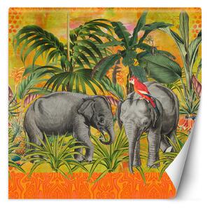 Fototapeta Oranžové abstraktné zvieratá slony - Andrea Haase Materiál: Vliesová, Rozmery: 100 x 100 cm