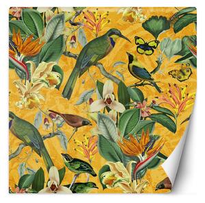 Fototapeta Žlté abstrakčné vtáky na zelenej vetve - Andrea Haase Materiál: Vliesová, Rozmery: 100 x 100 cm