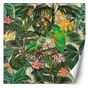 Fototapeta Vtáky na zelenom pozadí abstrakt - Andrea Haase Materiál: Vliesová, Rozmery: 100 x 100 cm