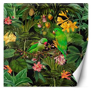 Fototapeta Zelené listy vtáky príroda - Andrea Haase Materiál: Vliesová, Rozmery: 100 x 100 cm