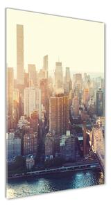 Vertikálny foto obraz sklenený New York osv-117684952