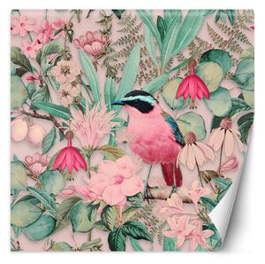 Fototapeta Príroda ružového vtáka - Andrea Haase Materiál: Vliesová, Rozmery: 100 x 100 cm