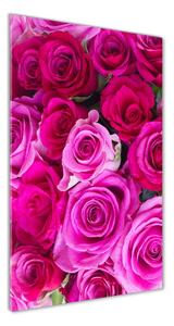Vertikálny foto obraz sklenený Ružové ruže