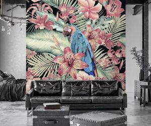 Fototapeta Papagáj na pozadí ružových listov - Andrea Haase Materiál: Vliesová, Rozmery: 100 x 100 cm