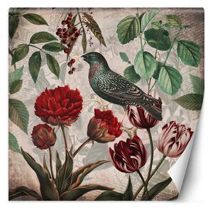 Fototapeta Abstraktná vtáčika príroda - Andrea Haase Materiál: Vliesová, Rozmery: 100 x 100 cm