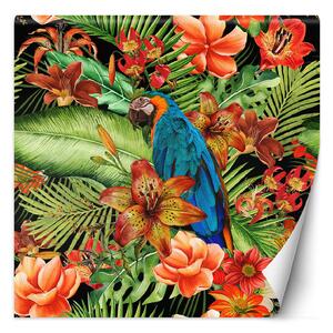 Fototapeta Prírodné vtáky zelené a oranžové listy - Andrea Haase Materiál: Vliesová, Rozmery: 100 x 100 cm