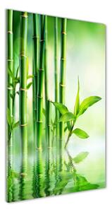Vertikálny foto obraz sklenený Bambus vo vode
