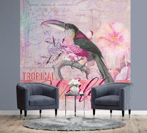 Fototapeta Papagáj v ružových odtieňoch príroda - Andrea Haase Materiál: Vliesová, Rozmery: 100 x 100 cm