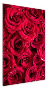 Vertikálny foto obraz fotografie na skle Červené ruže
