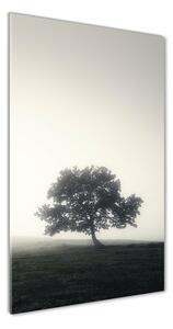 Vertikálny fotoobraz na skle Drevo v hmle osv-122846887