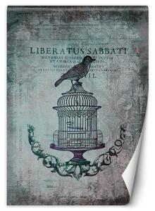 Fototapeta Abstrakt vtáka na klietke - Andrea Haase Materiál: Vliesová, Rozmery: 100 x 140 cm