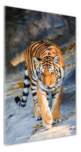Vertikálny fotoobraz na skle Tiger osv-122340685