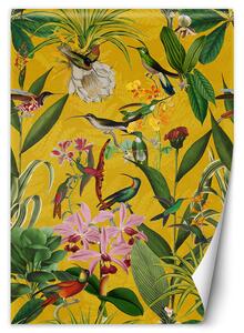 Fototapeta Vtáky a listy na žltom pozadí - Andrea Haase Materiál: Vliesová, Rozmery: 100 x 140 cm