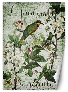 Fototapeta Vták na vetve listy na zelenom pozadí - Andrea Haase Materiál: Vliesová, Rozmery: 100 x 140 cm