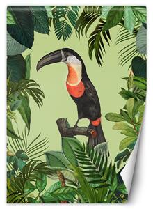 Fototapeta Papagáj na zelenom pozadí - Andrea Haase Materiál: Vliesová, Rozmery: 100 x 140 cm