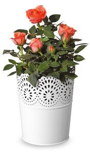 Florabest Kvetináč (oranžová/biela/zelená, okrúhla / 3-dielna súprava) (100321820)