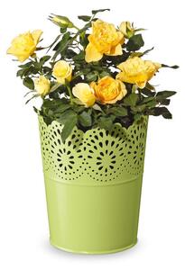 Florabest Kvetináč (oranžová/biela/zelená, okrúhla / 3-dielna súprava) (100321820)