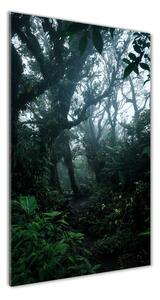 Vertikálny foto obraz sklo tvrdené Dažďový prales