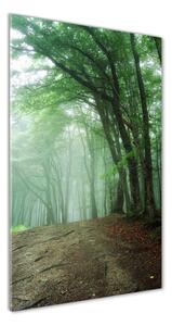 Vertikálny foto obraz sklenený Hmla v lese osv-132941694