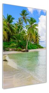 Vertikálny fotoobraz na skle Tropická pláž osv-128237985