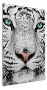 Vertikálny foto obraz sklenený Biely tiger osv-13468757