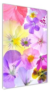 Vertikálny foto obraz sklo tvrdené Farebné kvety