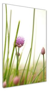 Vertikálny foto obraz sklo tvrdené Kvet pažítky
