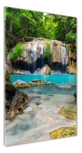 Vertikálny fotoobraz na skle Vodopád v džungli