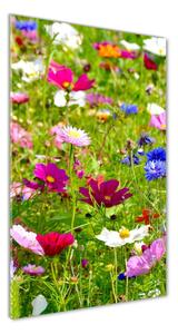 Vertikálny foto obraz sklenený Poľné kvety osv-169402975