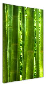 Vertikálny fotoobraz na skle Bambus osv-17587007