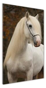Vertikálny foto obraz fotografie na skle Biely kôň