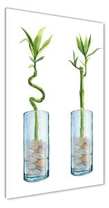 Vertikálny foto obraz fotografie na skle Bambus v kvetináči