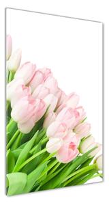 Vertikálny foto obraz sklenený Ružové tulipány