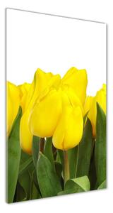 Vertikálny fotoobraz na skle Žlté tulipány osv-2665979