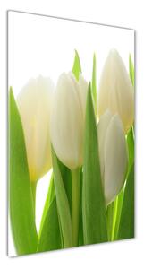 Vertikálny foto obraz sklo tvrdené Biele tulipány