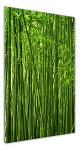 Vertikálny foto obraz fotografie na skle Bambusový les