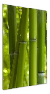 Vertikálny foto obraz sklenený Bambusový les osv-24255297