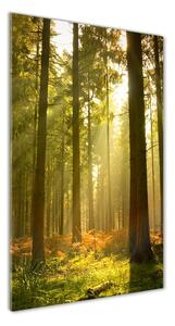 Vertikálny foto obraz sklenený Pekný les osv-27621934