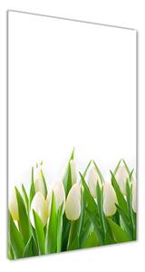 Vertikálny foto obraz sklenený Biele tulipány
