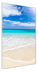 Vertikálny fotoobraz na skle Tropická pláž osv-32914566