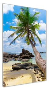 Vertikálny fotoobraz na skle Tropická pláž osv-35559684