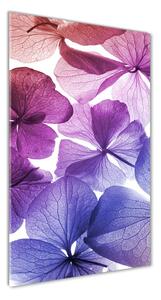Vertikálny foto obraz sklenený Fialové kvety osv-35152735