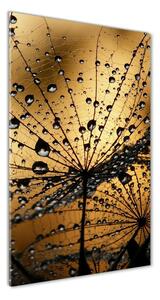 Vertikálny foto obraz sklo tvrdené Semená púpavy
