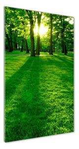 Vertikálny foto obraz sklenený Slnko v parku osv-3863874