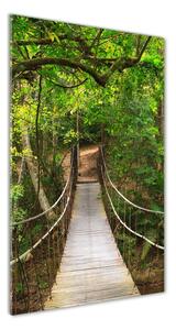 Vertikálny foto obraz sklo tvrdené Visiaci most v lese