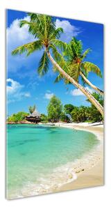 Vertikálny fotoobraz na skle Tropická pláž osv-37245256