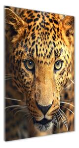 Vertikálny foto obraz fotografie na skle Leopard