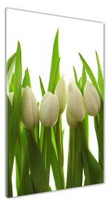 Vertikálny fotoobraz na skle Biele tulipány osv-40774671